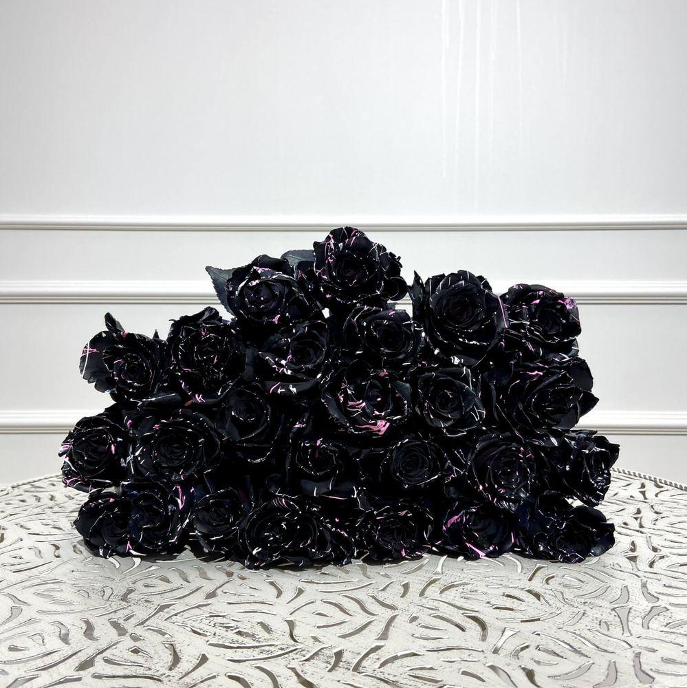 Fucsia Panther 60 cm